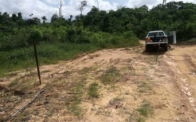 Republic of Cameroon: seismic and geophysical surveys for the Édéa-Campo and Douala-Idenau railway spurs